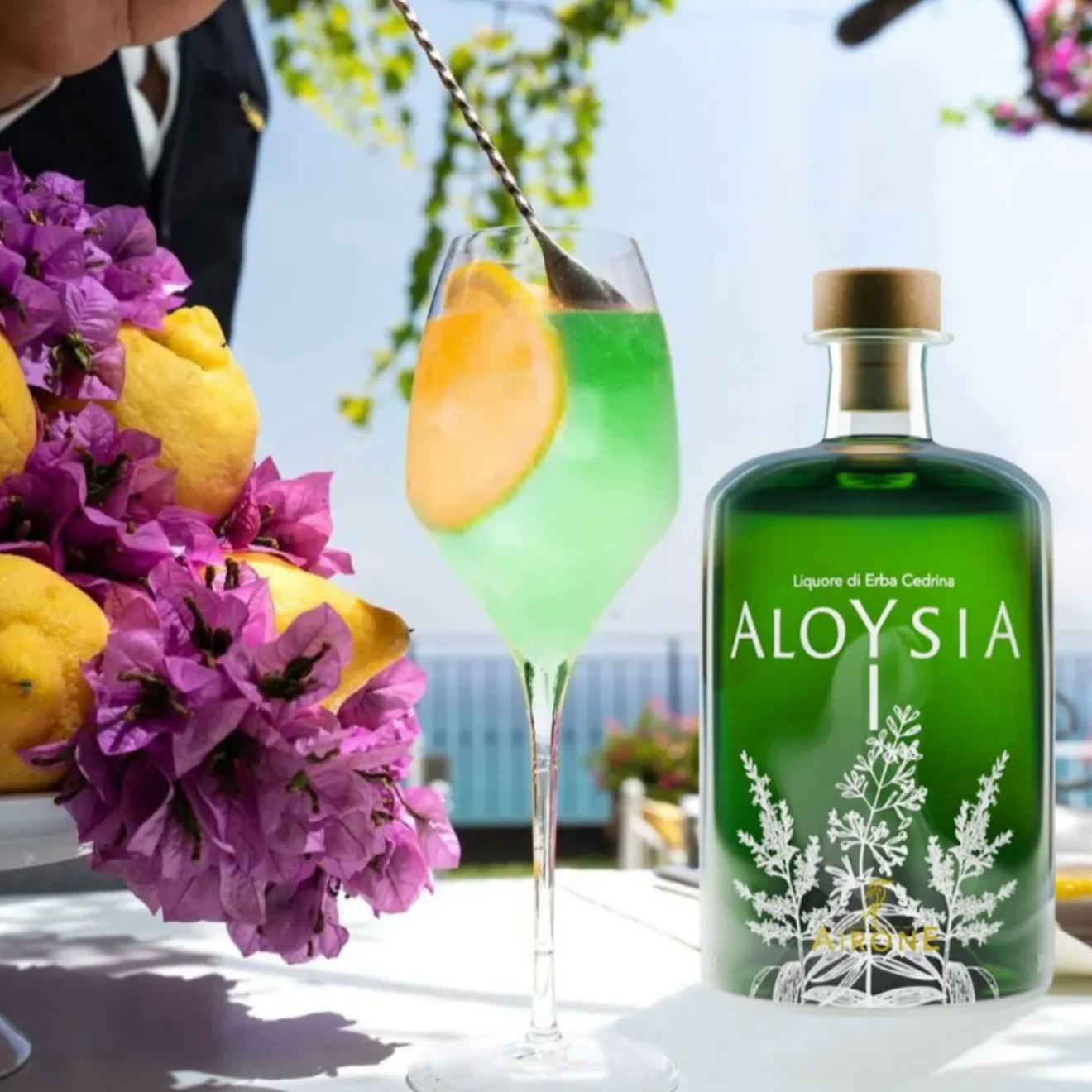 Aloysia - Liquore di Erba Cedrina